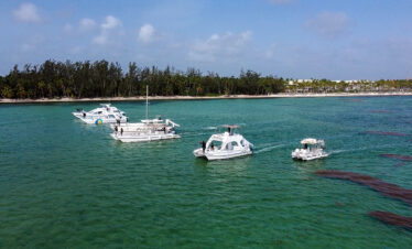 Excursión Isla Saona todo incluido