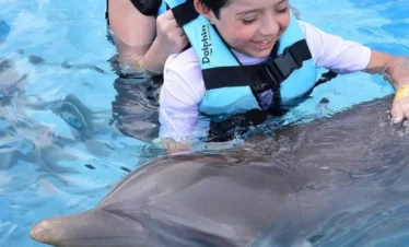 Turista nadando con delfines en Punta Cana